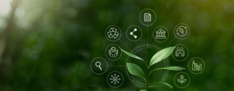 Green seedling surrounded by sustainability and supply-chain icons