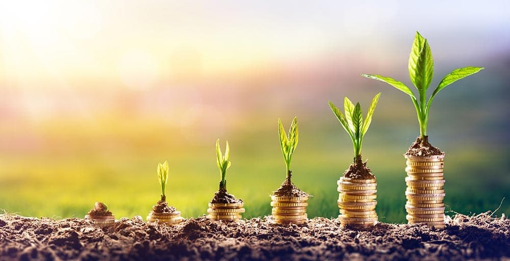 Cover image for Strategic Seed Funding Secured via PAX Alliance